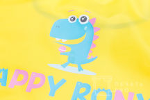 Желтые сигнальные жилеты с логотипом «HAPPY RONY»